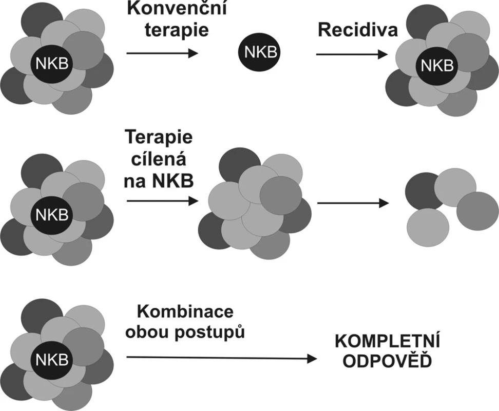 Porovnání stávající terapeutické strategie a strategie namířené proti nádorovým buňkám tumoru Strategie selektivně eliminující nádorové kmenové buňky (NKB) by sice v okamžitém efektu nevedla k omezení masy nádorových buněk, poskytla by však definitivní řešení v podobě odstranění prvotní příčiny nádorového růstu. Nádor bez svých kmenových buněk by neměl být schopen dlouhodobé existence (volně podle Woodwardové 2005).
Fig. 2. Comparison of the current therapeutic strategy and the anti-tumorous cell strategy Selective elimination of the tumorous stem cell (NKB) would not immediately result in reduction of the tumorous mass, however, it would provide a definitive solution, removing the original causative factor of the tumorous growth. Any tumor with its stem cells removed, is not expected to survive in a long run. (according to Woodward, 2005).