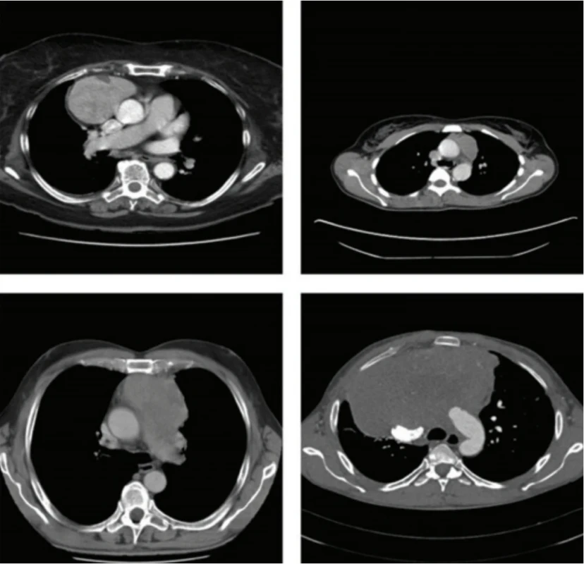  / Fig. 5.