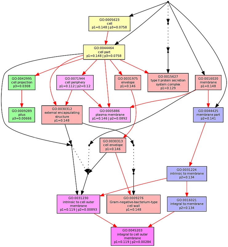 Multi GOEAST comparison of gene ontology (GO) terms relating to cellular component for differential gene responses in stationary phase <i>E. coli</i> NCTC 9001.