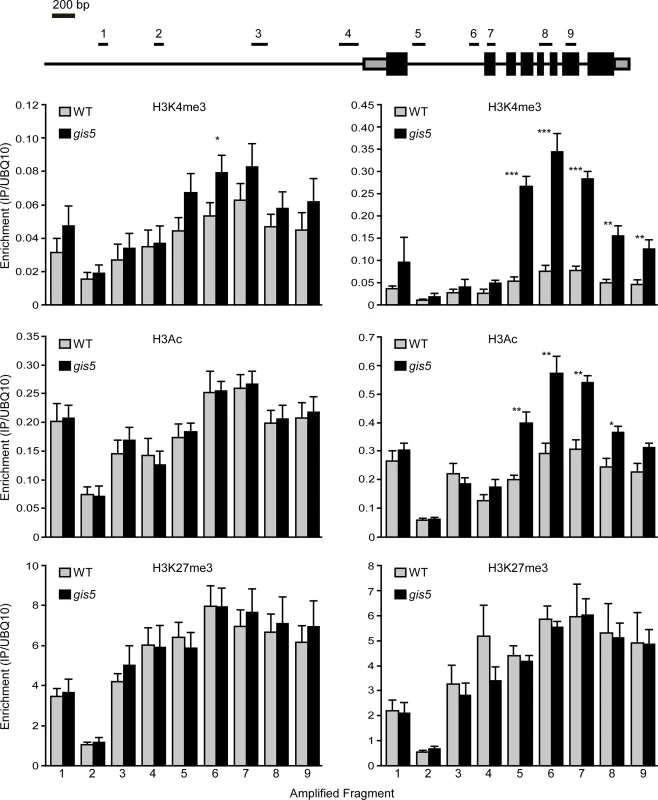 The <i>SEP3</i> locus is enriched in H3K4me3 and H3Ac in a temperature dependent manner.