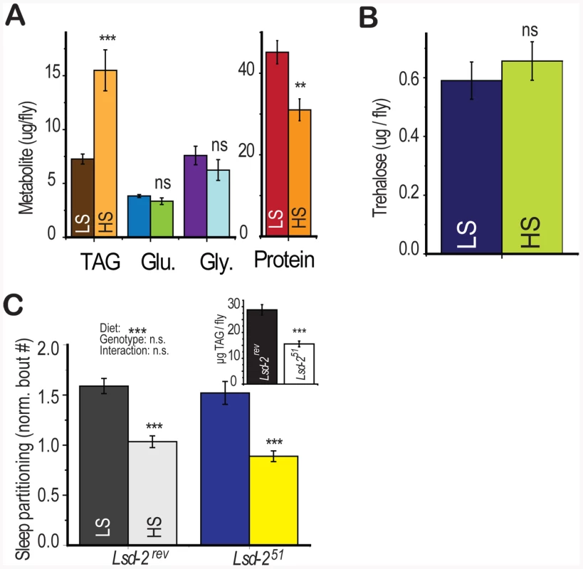 Diet-induced shift in energy storage is not sufficient to induce sleep partitioning.