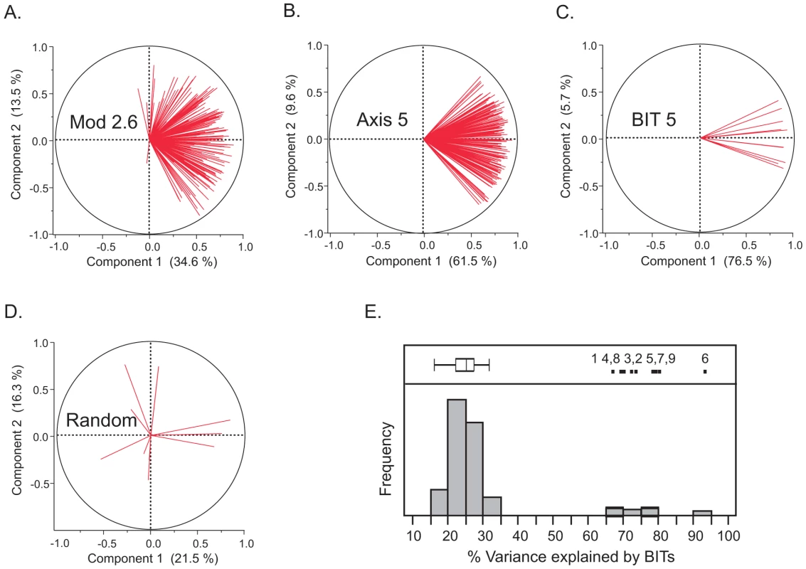 Covariance of gene expression in Modules, Axes, and BIT.
