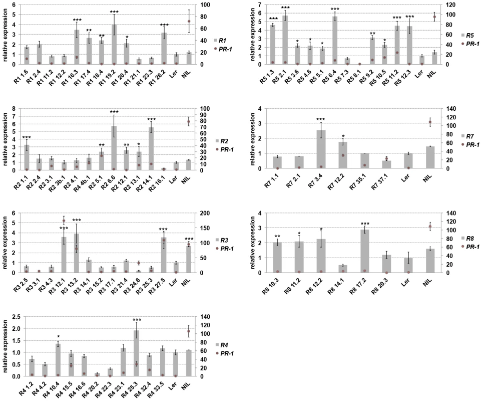 Transgene and <i>PR-1</i> expression in Col<i><sup>RPP1</sup></i> lines.