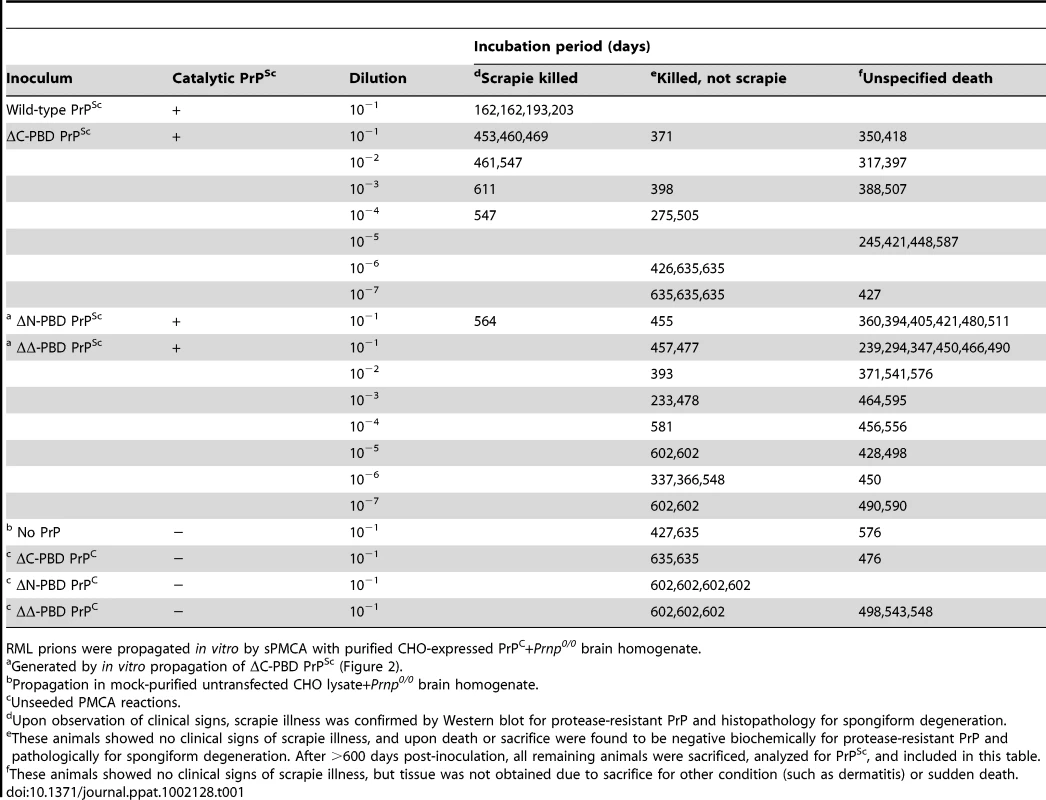 Biological infectivity assay of <i>in vitro</i>-generated autocatalytic PrP<sup>Sc</sup> molecules.