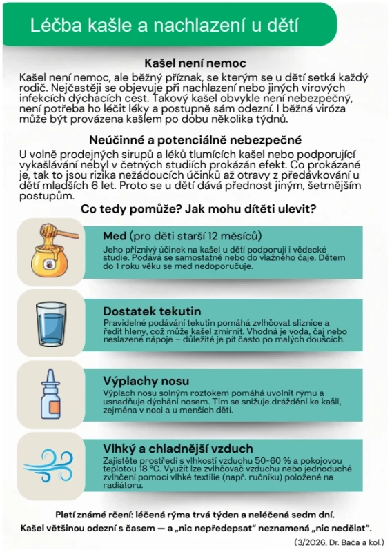 Návrh letáku pro kampaň s cílem zvýšení povědomí o správné indikaci léků proti kašli a nachlazení (určeno pro rodiče / pečující osoby a jejich děti), zdroj vlastní