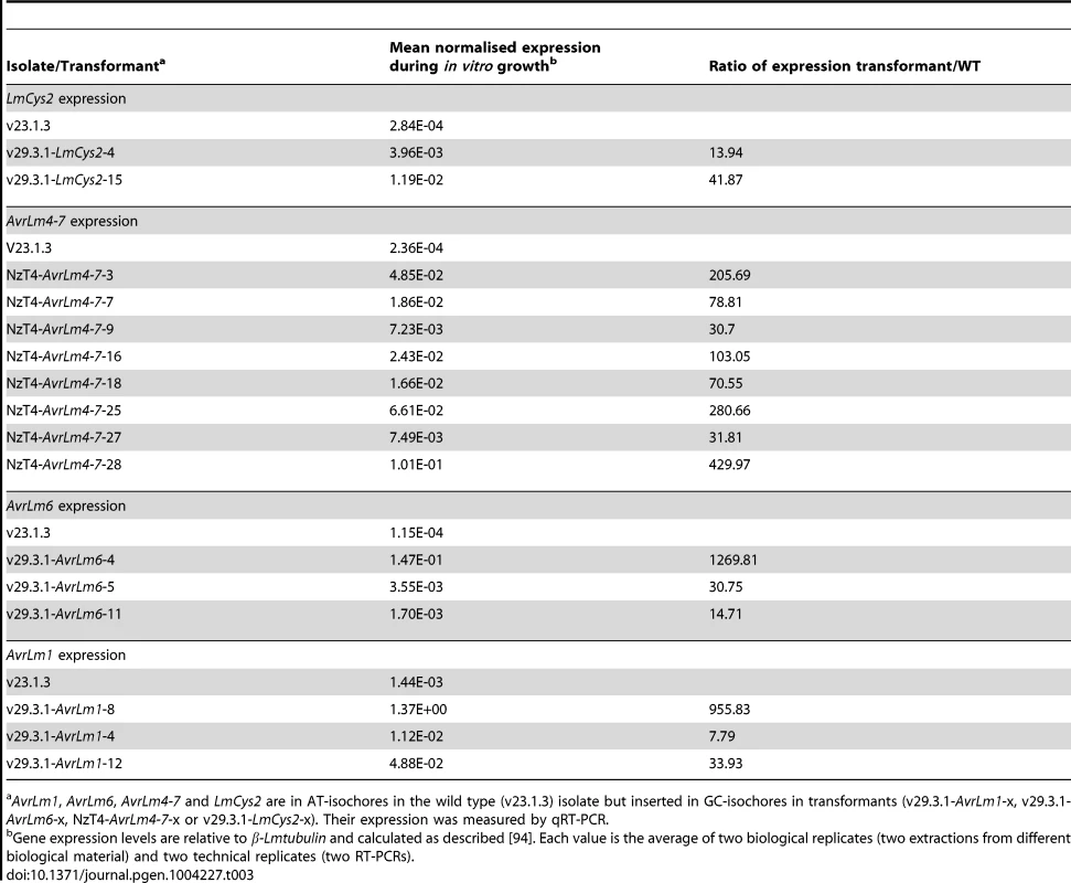 Expression of <i>AvrLm1</i>, <i>AvrLm6</i>, <i>AvrLm4-7</i> and <i>LmCys2</i> in <i>axenic culture</i> of mycelium following ectopic integration in GC-isochores of the genome.