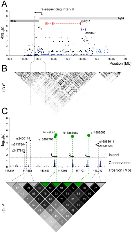 Association between SNPs and colorectal cancer risk at 8q23.