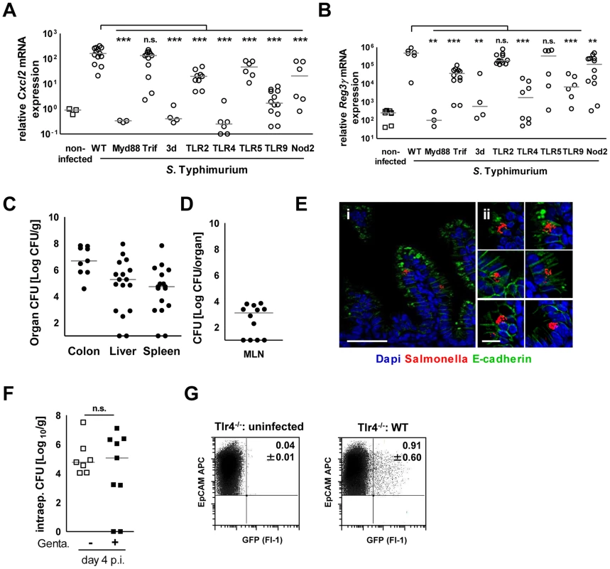 Epithelial innate immune stimulation during neonatal <i>Salmonella</i> infection.
