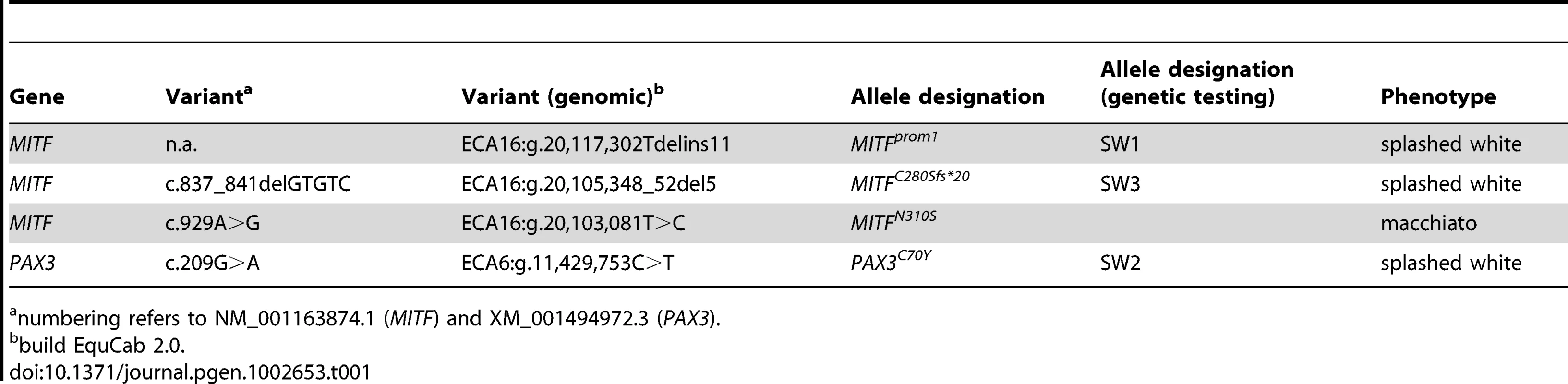 Causative mutations for white spotting phenotypes.