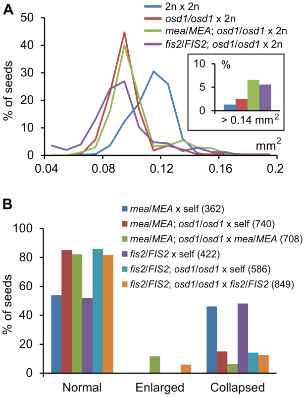Maternal Excess Triploid <i>mea</i> and <i>fis2</i> Seeds Are Strongly Enlarged.