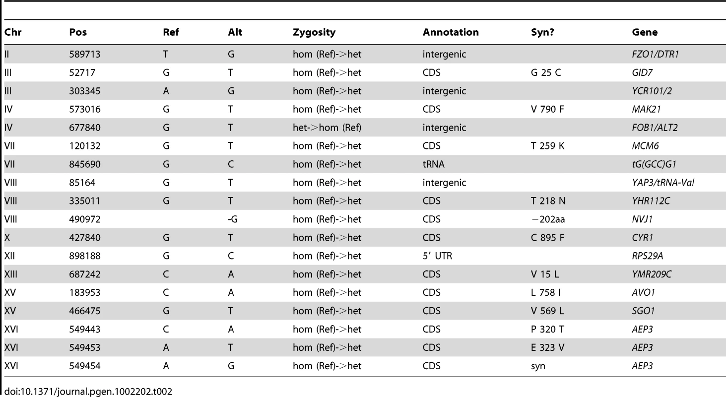 Summary of Substitutions and Indels for E2 (250 generations).