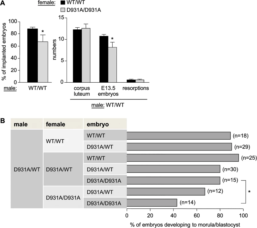 Maternal and embryonic p110β kinase activity regulate preimplantation embryogenesis.