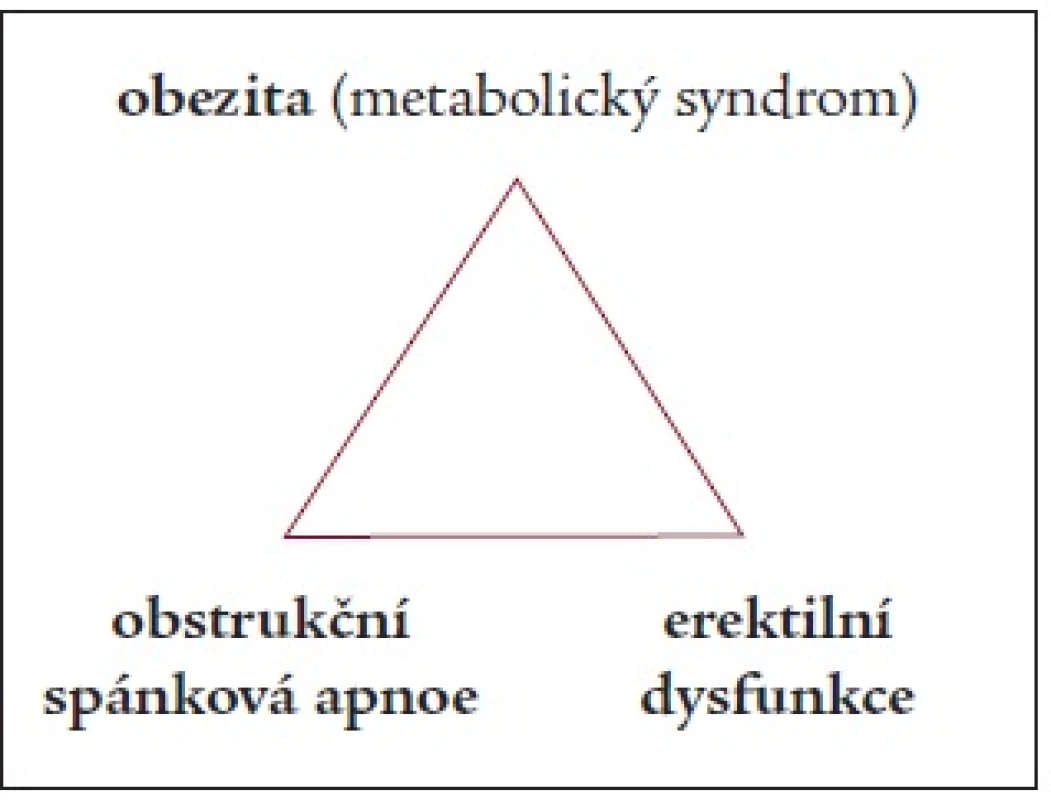 Obezita, obstrukční spánková apnoe a erektilní dysfunkce.