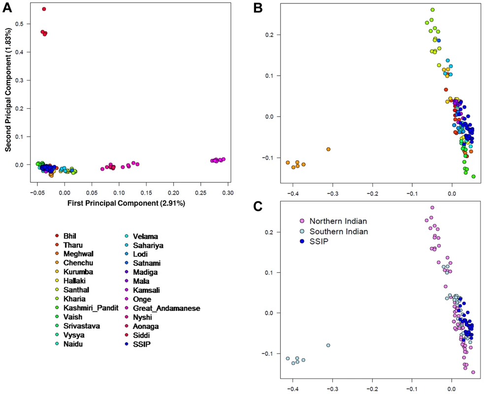 Principal component analysis (PCA) of SSIP samples with 132 South Asians.