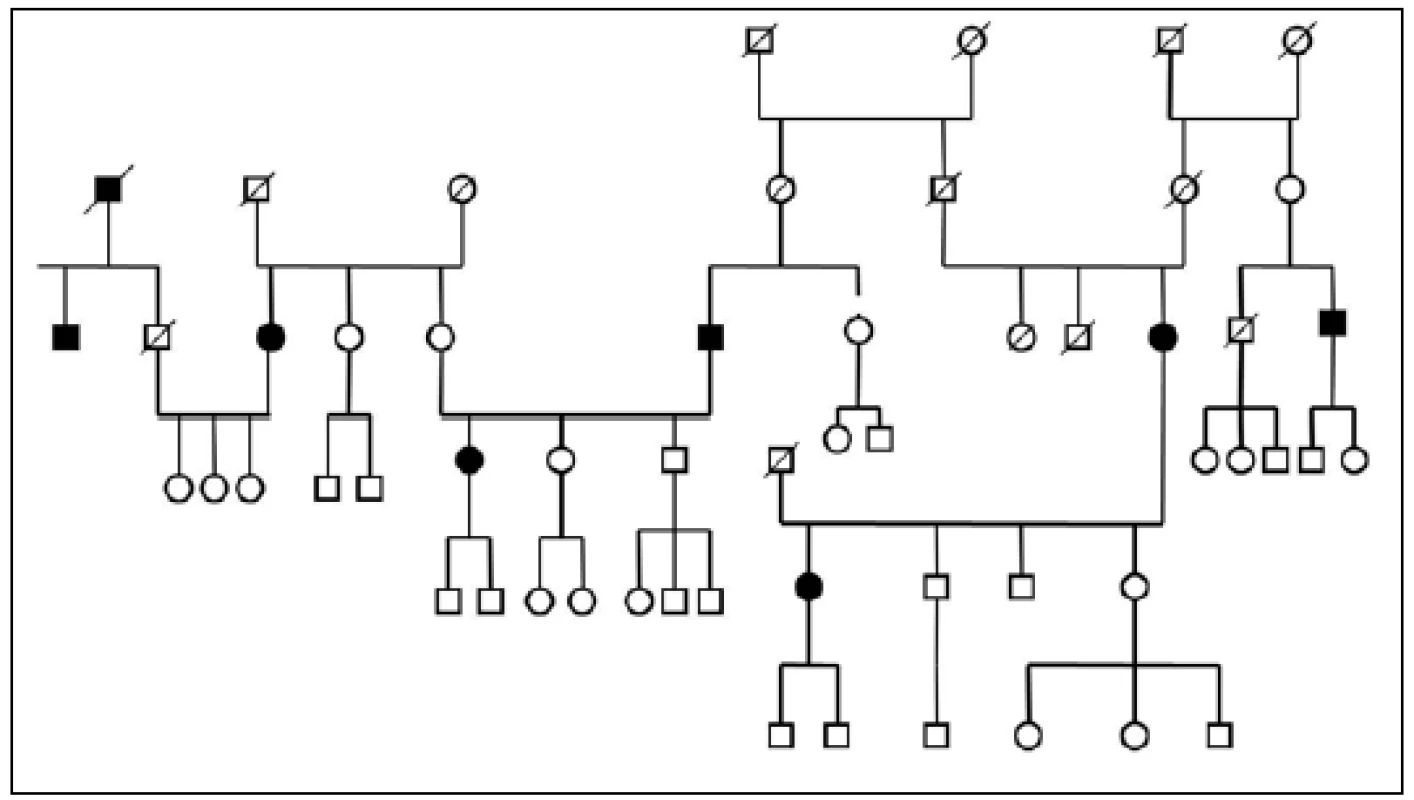 Pedigree Nr. 3 – HorPark 3.