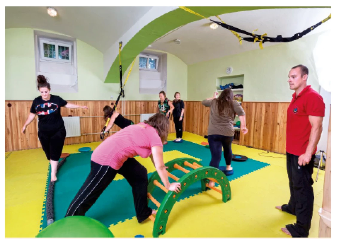 Kruhový trénink.<br>
Fig. 3. Circuit training.