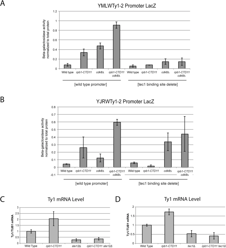 The increased Ty1 gene expression levels observed in the <i>rpb1-CTD11</i> mutant were dependent on <i>TEC1</i> or <i>STE12</i>.