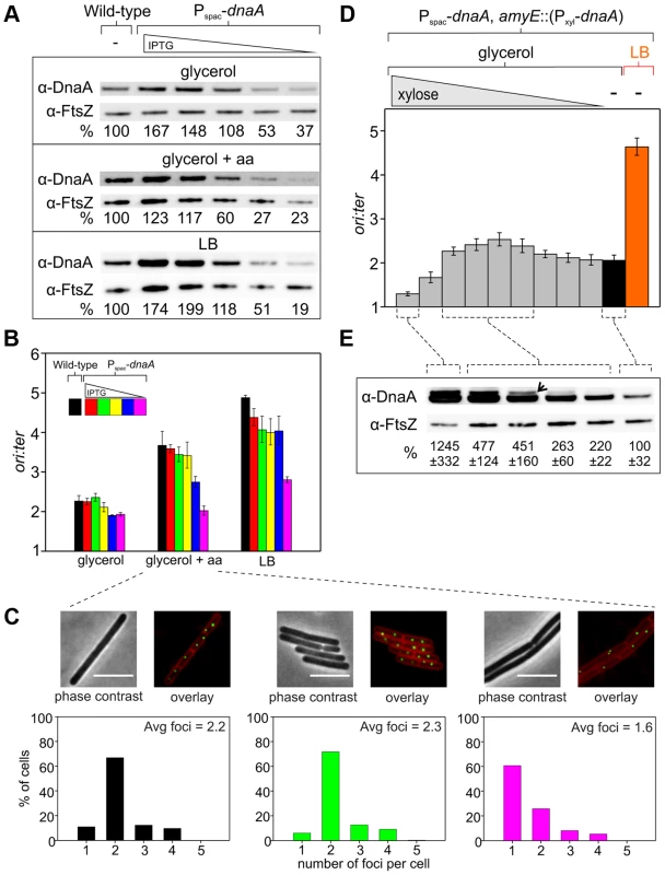Changes in DnaA protein level are not sufficient to account for nutrient-mediated growth rate regulation of DNA replication initiation in <i>B. subtilis.</i>