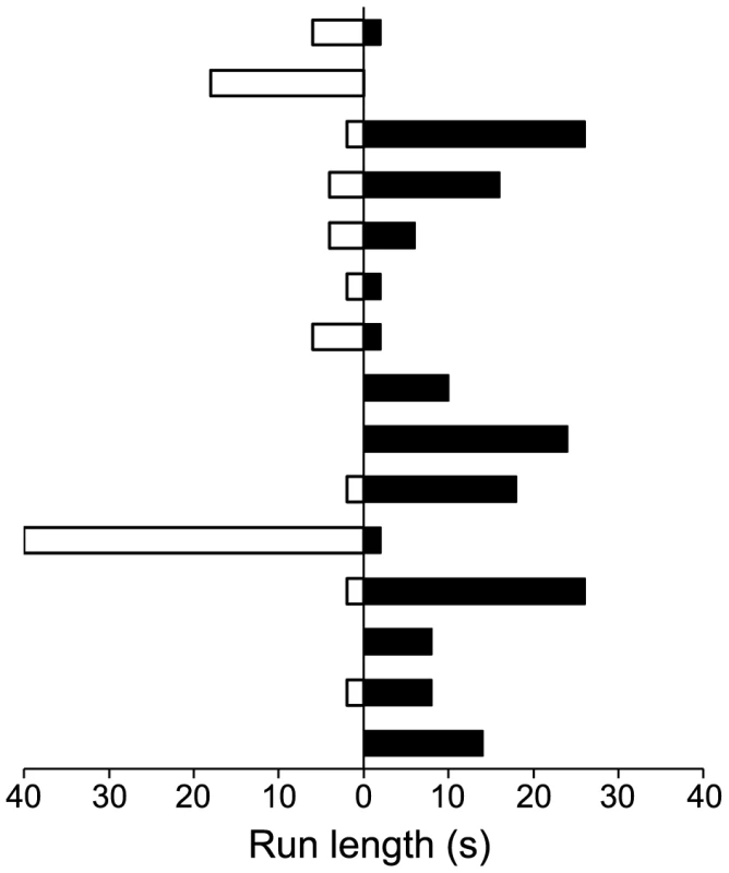 Directionality and run lengths of intracellular transported viral particles at 16 h p.i..