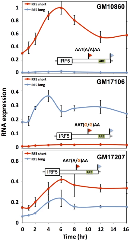 Genetic variation in IRF5 alternative polyadenylation and recovery of steady-state expression after induction.