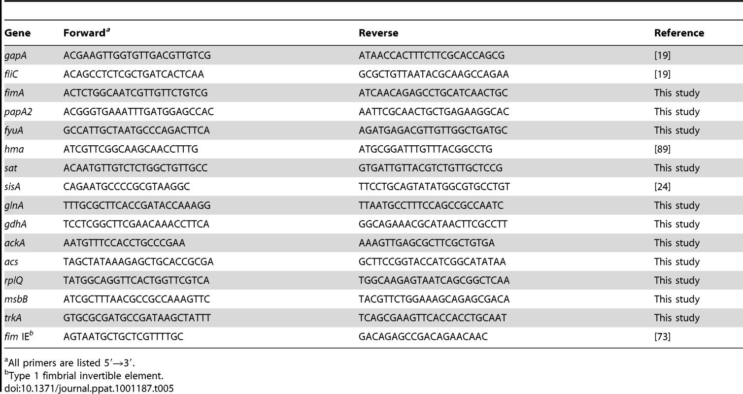 Primers used in this study.