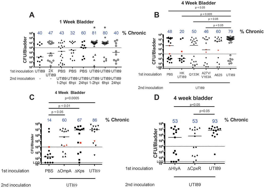 Superinfections of C3H/HeN mice.