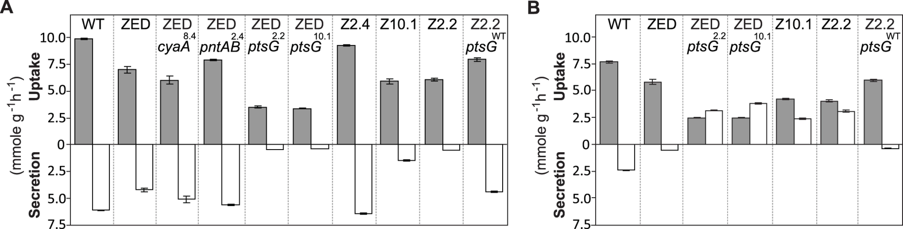 Substrate uptake and secretion rates.