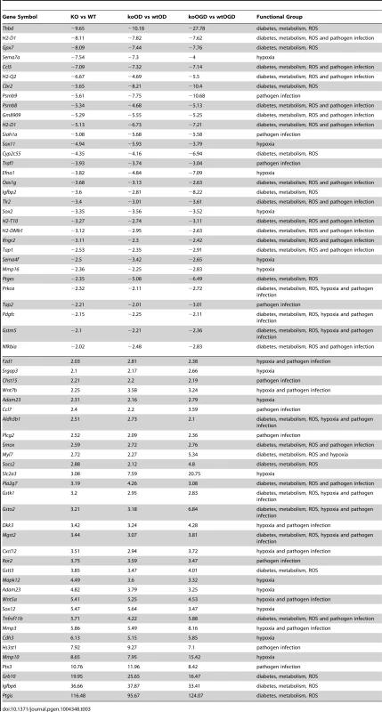 List of common significant differential expression genes among KO versus WT, koOD versus wtOD, and koOGD versus wtOGD (<em class="ref">Figure 4c</em> Venn diagram).