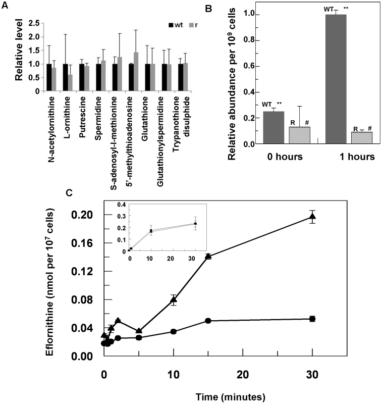 Metabolomic analysis of eflornithine resistance and uptake.