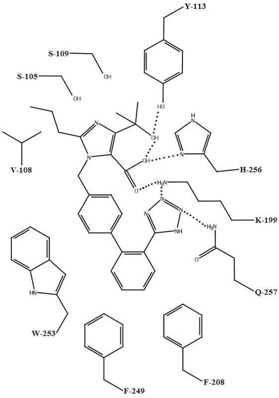 Schéma väzby olmesartanu s aktívnym miestom AT<sub>1</sub> receptora