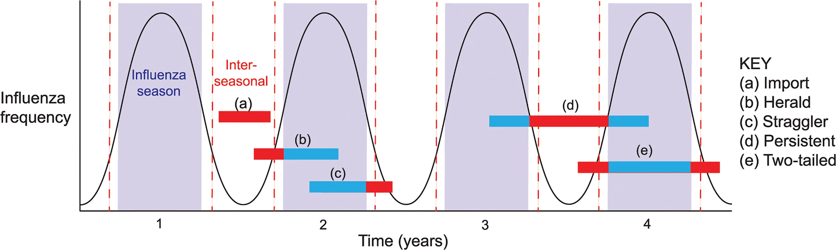Patterns (event types) of inter-seasonal influenza transmission.