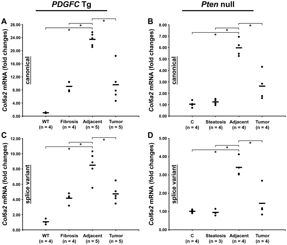 Expression of <i>Col6a2</i> mRNA variants upon disease progression in <i>PDGFC</i> Tg and <i>Pten</i> null liver.
