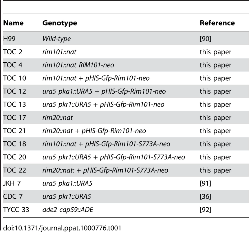 List of strains used in this study.