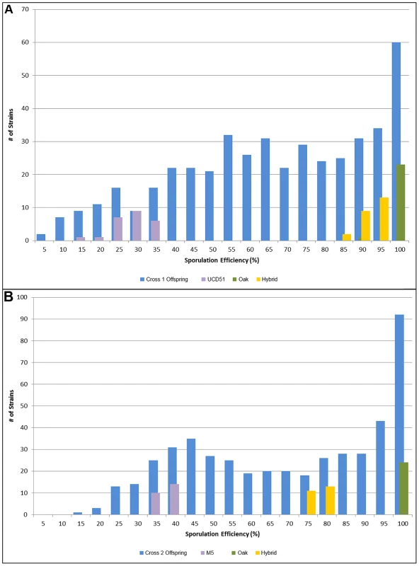 Histograms of sporulation efficiencies for progeny.