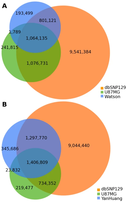 Individual genome comparison.