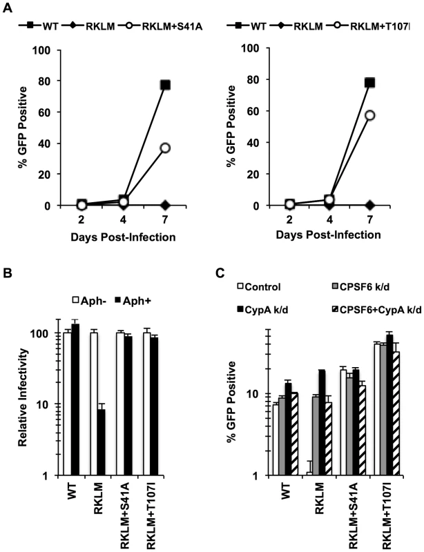 <i>In vitro</i> adaptation of the early HIV-1 CTL escape variant RKLM selects for a CPSF6-resistant virus.
