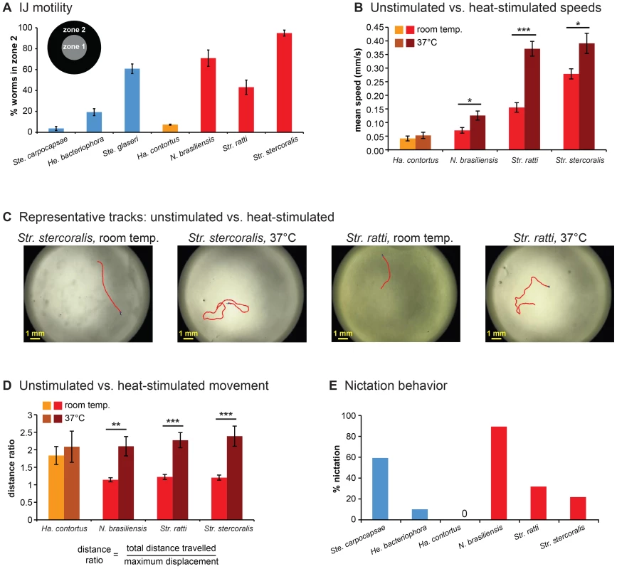 Foraging behaviors of skin-penetrating nematodes.