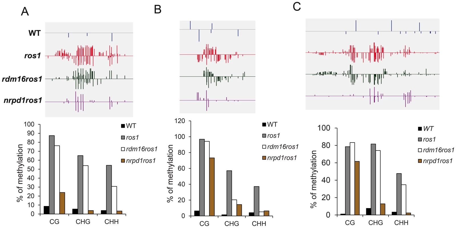DNA methylation analysis of selected loci in WT, <i>ros1</i>, <i>rdm16ros1</i> and <i>nrpd1ros1</i>.