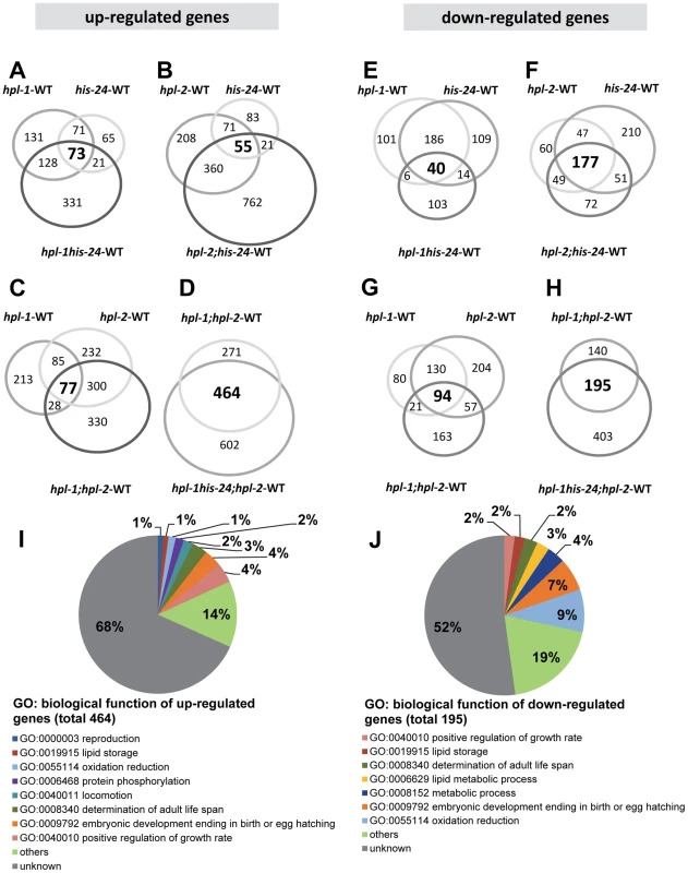 HPL and HIS-24 are not global repressors of transcriptional activity.