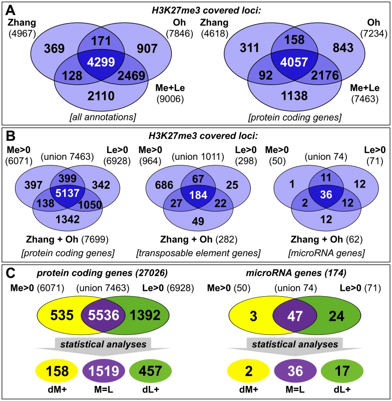 Tissue-specific ChIP-on-chip analysis reveals differentially methylated genes.