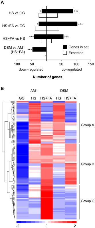 Genes encoding secreted proteins are transcriptionally induced by hydrophobicity and hydroxy fatty acids.