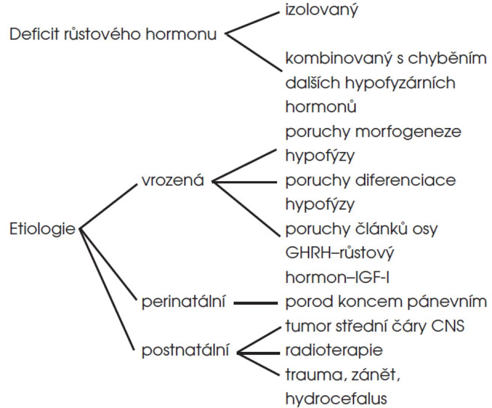 Typy a etiologie deficitu růstového hormonu v dětském věku.