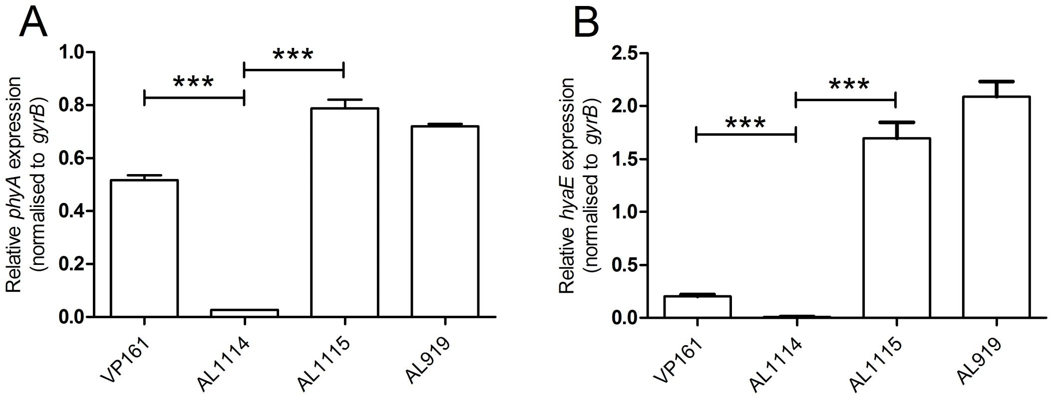 Relative expression of <i>phyA</i> and <i>hyaE</i> in four <i>P. multocida</i> strains.