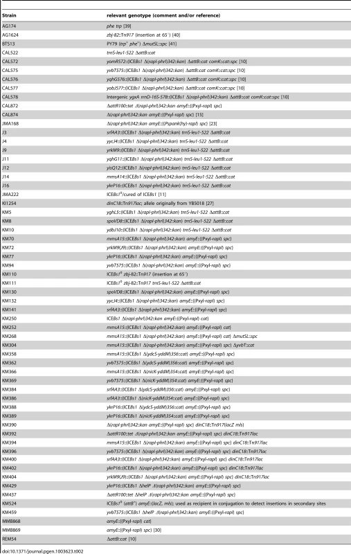 <i>B. subtilis</i> strains used.