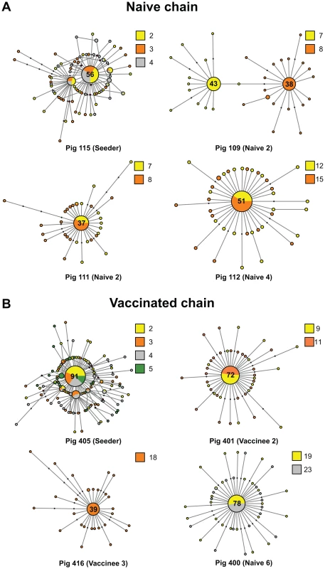 The mutational spectra of intra-host EA-SIV populations are highly dynamic.
