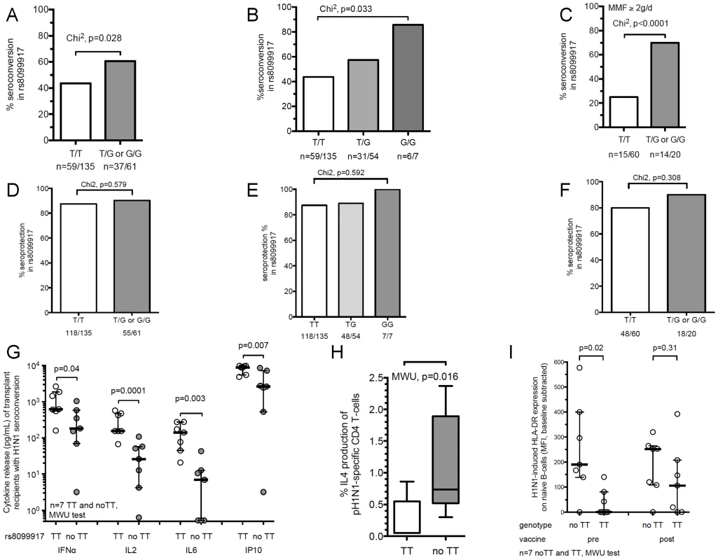 IL-28B genotype significantly impacts Influenza H1N1-stimulated immune responses in transplant recipients.