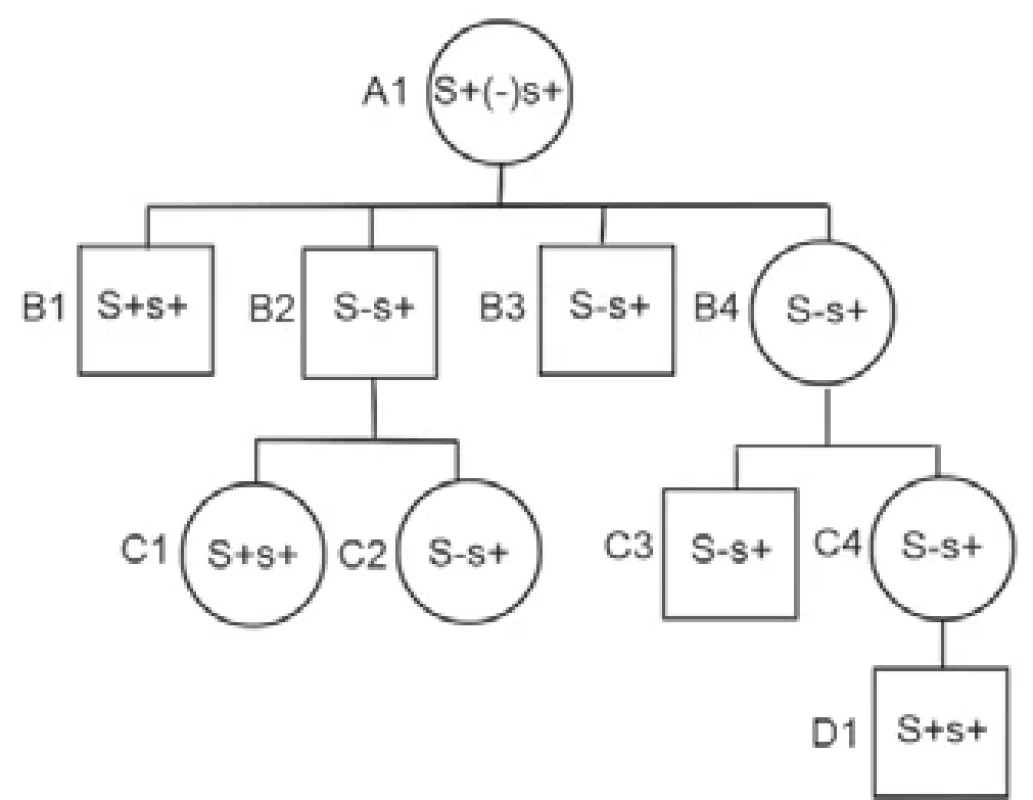 Rodokmen rodiny pacientky A1 se znázorněným genotypem a fenotypem antigenů Ss. Pouze u pacientky A1 je znázorněn diskrepantní nález: S+ genotyp a S– fenotyp. U jejích potomků nebyl zjištěn diskrepantní nález mezi genotypem a fenotypem antigenů S a s.