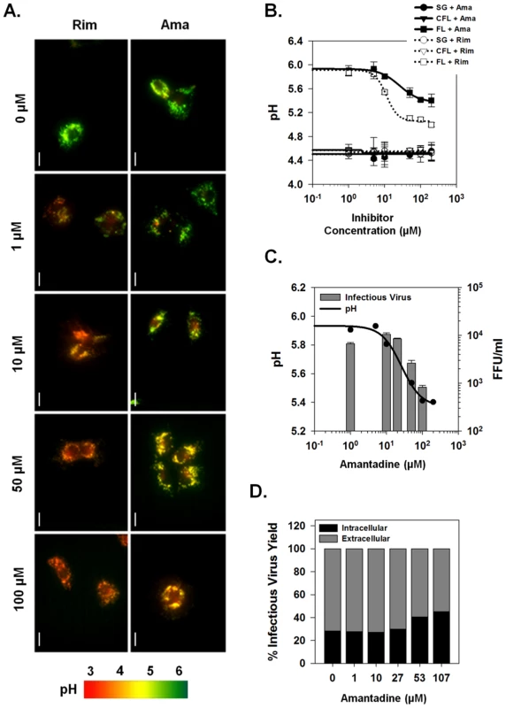 Effects of viroporin inhibitors on intracellular vesicular pH and infectious virus production.