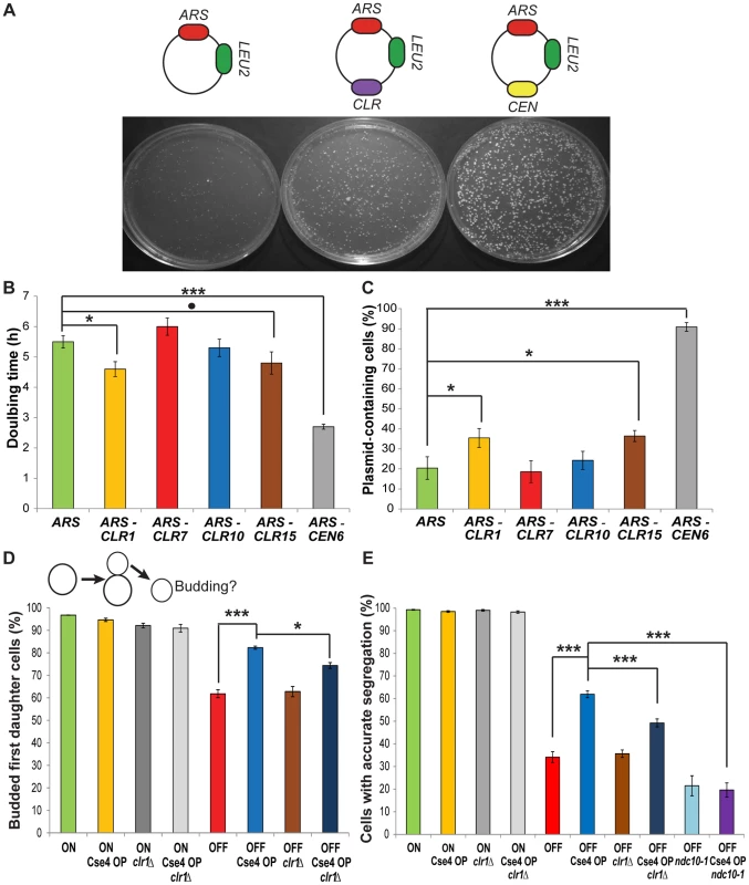 <i>CLR</i>s confer centromere function on plasmids and chromosomes.