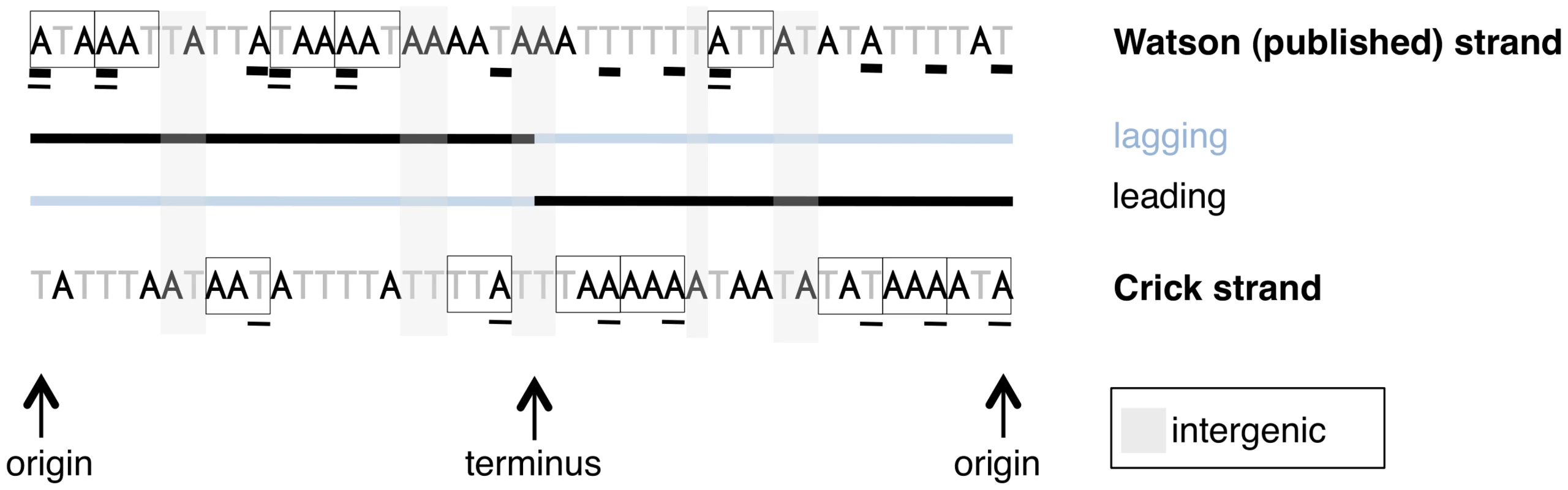 A schematic of sites used for different types of analyses in this paper.